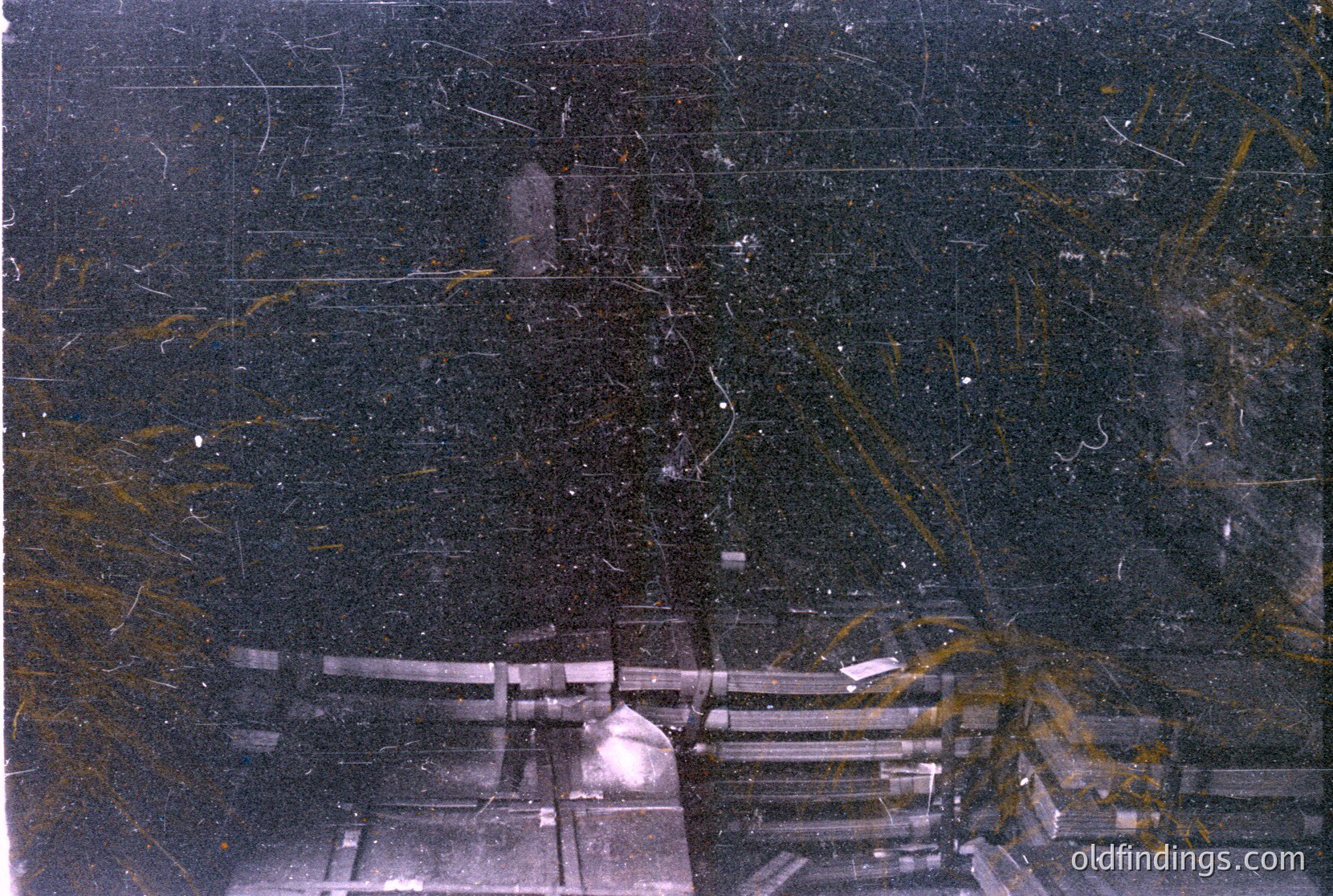 Vintage photograph