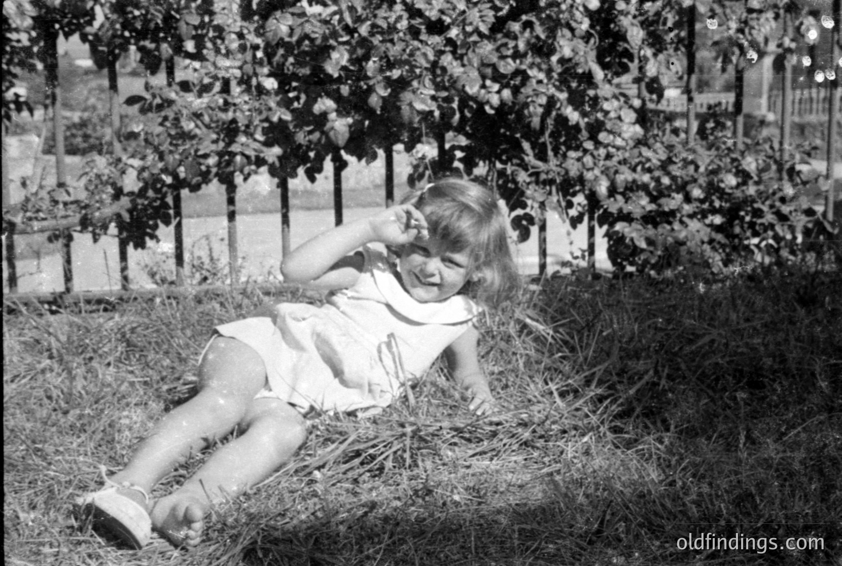 Vintage photograph