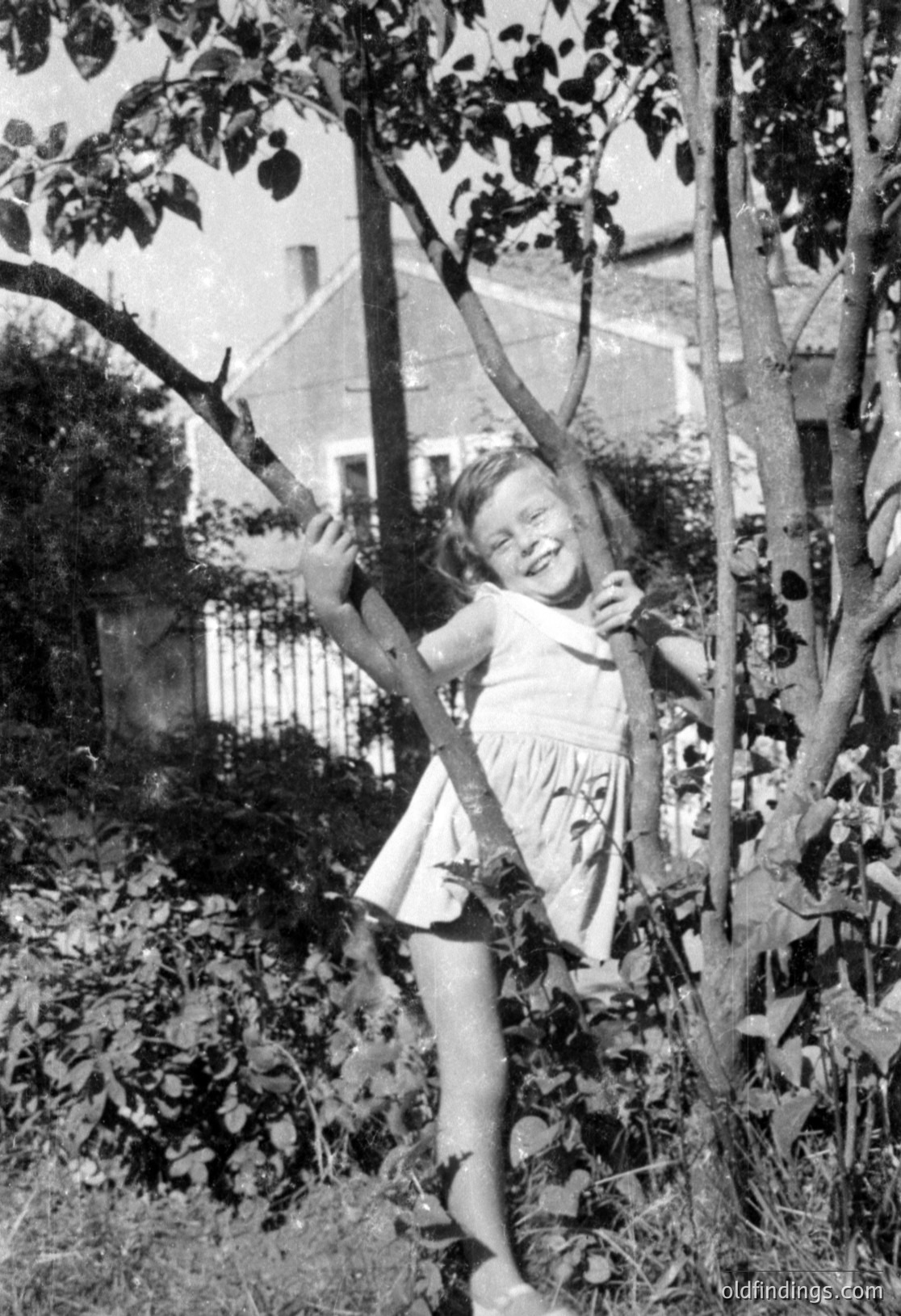 Vintage photograph