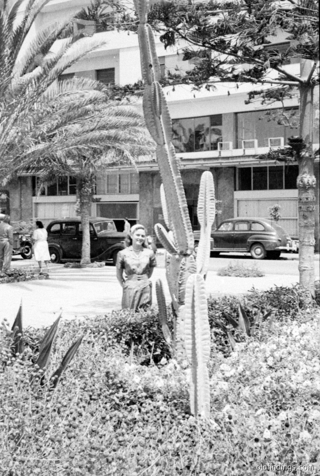 Vintage photograph