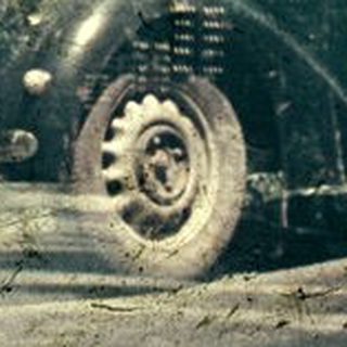Vintage car driving through dense forest.