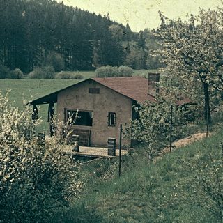 Rural house in forested countryside with orchard.