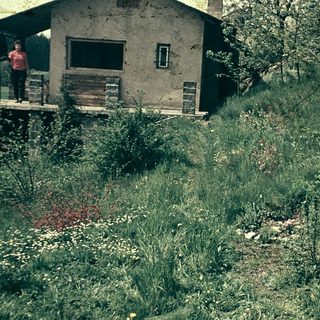 Rural garden with small house and blooming flowers.