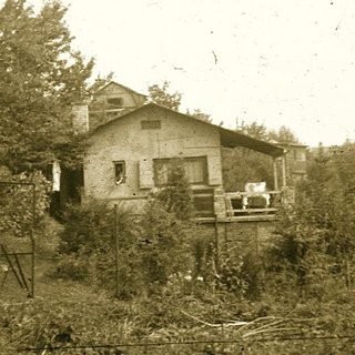 Vintage photo of a rural house surrounded by overgrown vegetation.