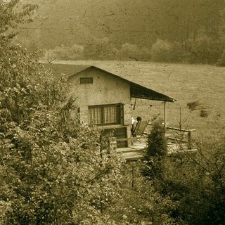 Rustic cabin by lake with swarming insects.