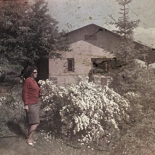 Vintage photo of person standing near blooming tree and old house.
