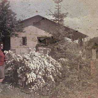 Vintage photo of person standing near blooming tree and old house.