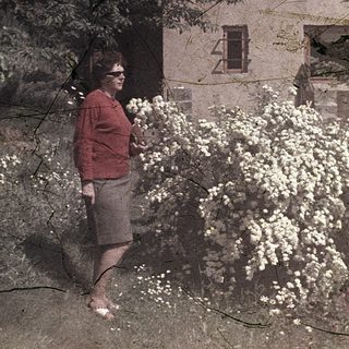 Vintage photo of person standing near blooming tree and old house.