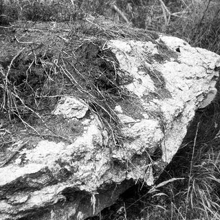 Weathered concrete or stone structure with overgrown vegetation.
