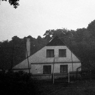 Rural house surrounded by dense forest.