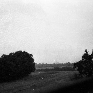 Rural landscape with trees, open field, overcast sky.