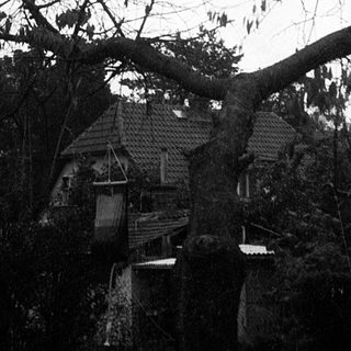 Barren tree overgrown rural house scene.