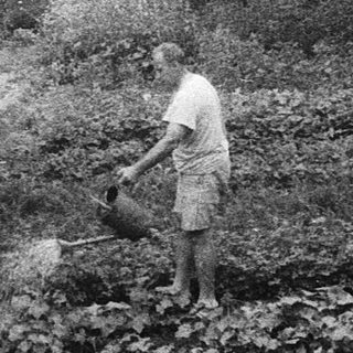 Vintage garden scene with person tending raised beds.