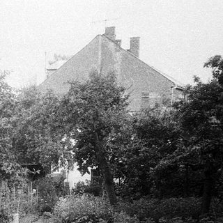People gardening on a sloped, overgrown hillside.