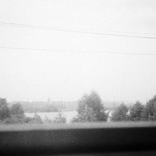 Rural landscape with misty horizon and trees.