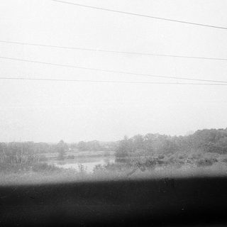 Rural scene with pond, trees, and power lines.