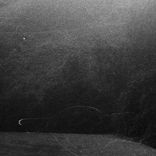 Misty forest view from elevated perspective.