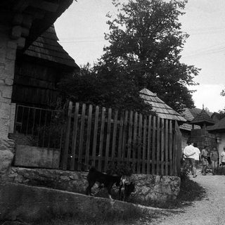 Rural village scene with people and dogs near wooden houses.