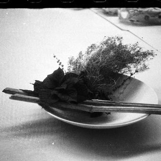 Simple floral arrangement with chopsticks on a plate.
