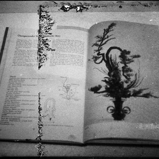 Open, aged book with torn pages and botanical illustrations.