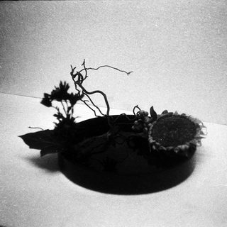 Minimalist black-and-white floral arrangement in shallow bowl.