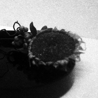 Minimalist black-and-white floral arrangement in shallow bowl.