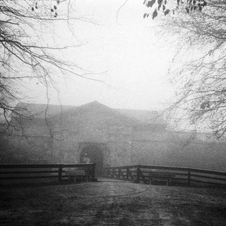 Misty park path with lone figure walking.