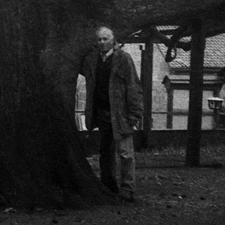 Old man standing near large tree in empty courtyard.