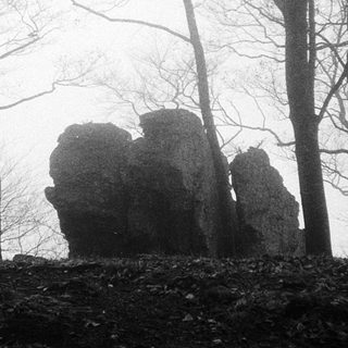 Mysterious rock formations in misty forest.