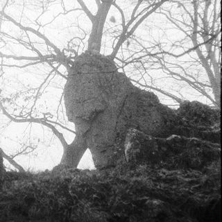 Silhouette of tree against rocky cliff.