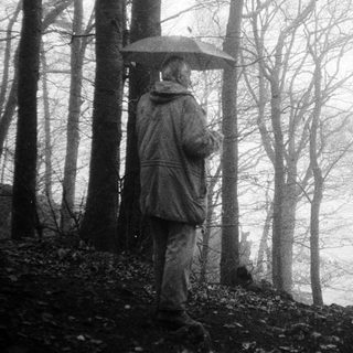 Person walks through forest holding umbrella in rain.