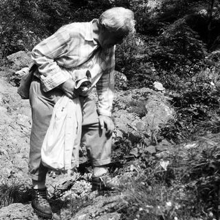 Old man examining rocks in rugged outdoor terrain.