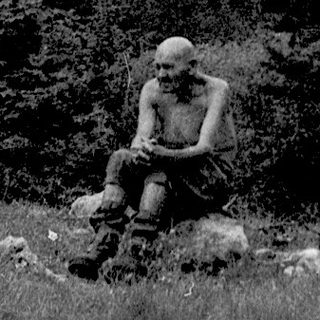 Person sitting alone on rocks in misty forest.