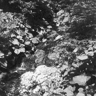 Frozen river with scattered ice and leaves.
