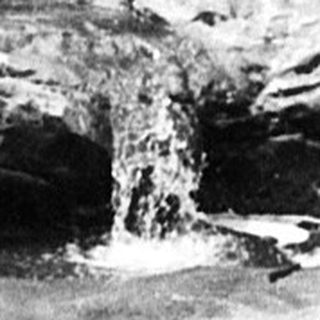 Rocky stream flowing through forested area.