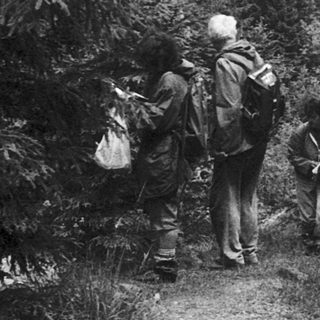 Three hikers resting on forest trail near rock formation.