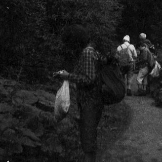 People hiking through forested mountain trail.