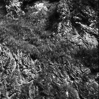 Rough, textured volcanic or basalt surface.