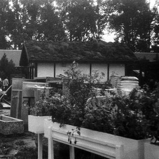 Community garden event with people tending raised beds.