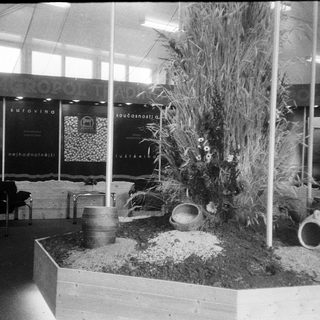 Indoor exhibition display featuring natural elements and pottery.