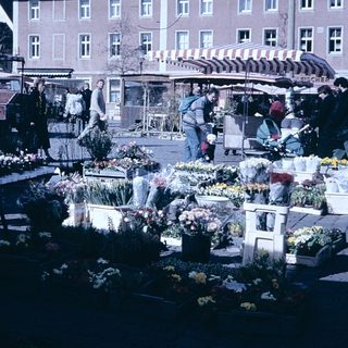 Outdoor flower market with stalls and people.
