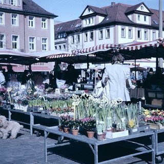 Outdoor market stall selling potted flowers.