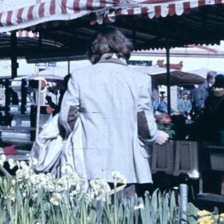 Outdoor market stall selling potted flowers.