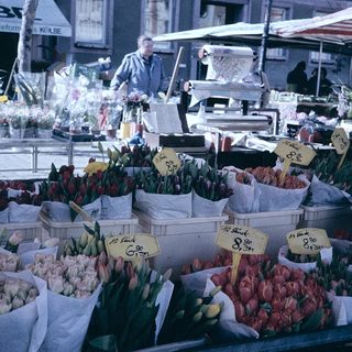Vintage flower market stall with tulips and roses.