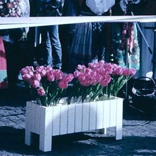 Traditional festival with floral displays and costumed participants.
