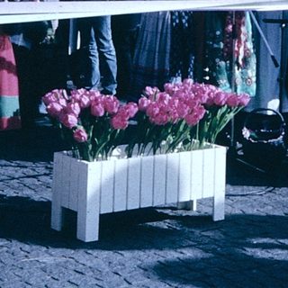 Traditional festival with floral displays and costumed participants.