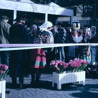 Traditional festival with floral displays and costumed participants.