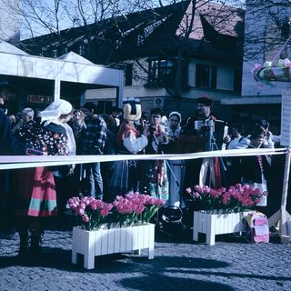 Traditional festival with floral displays and costumed participants.