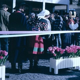 Traditional festival with floral displays and costumed participants.