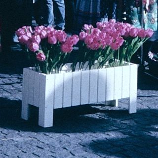 Traditional festival with floral displays and costumed participants.